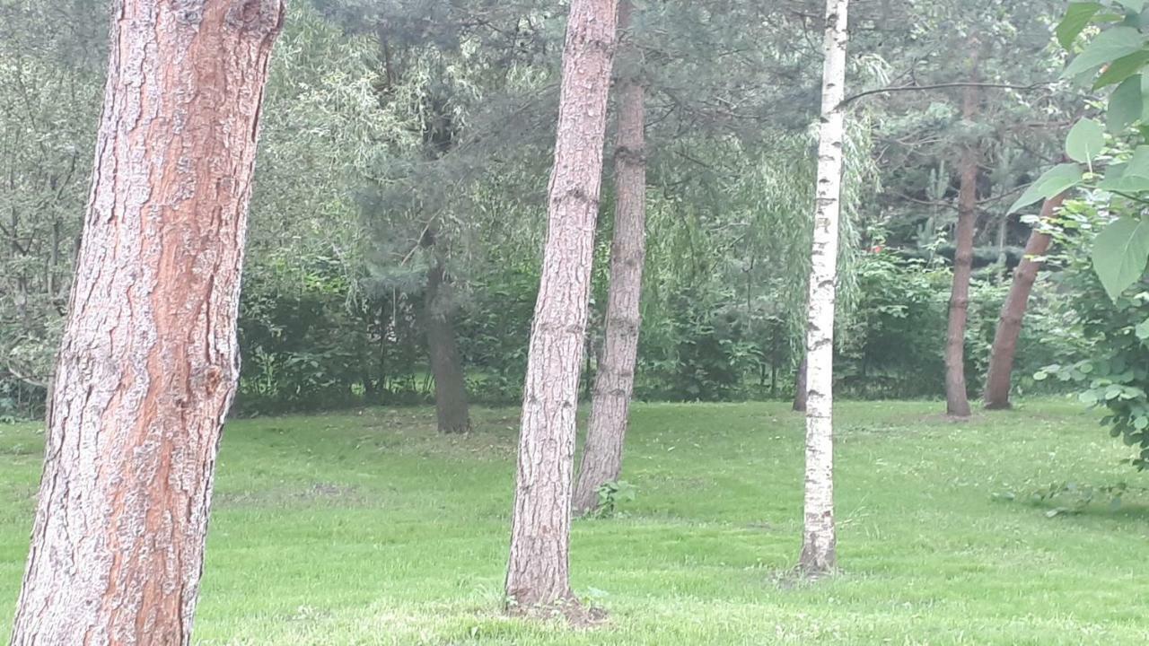 Pensiunea Stefania Guest house Campulung Moldovenesc